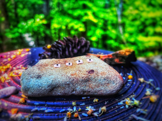 Olde Ways: Natural Ayurvedic Wellness Kit | Traditional Chinese Medicine Ear Seeds | Auricular, for Shen-Men | Third Eye - Pineal Open | 24pk