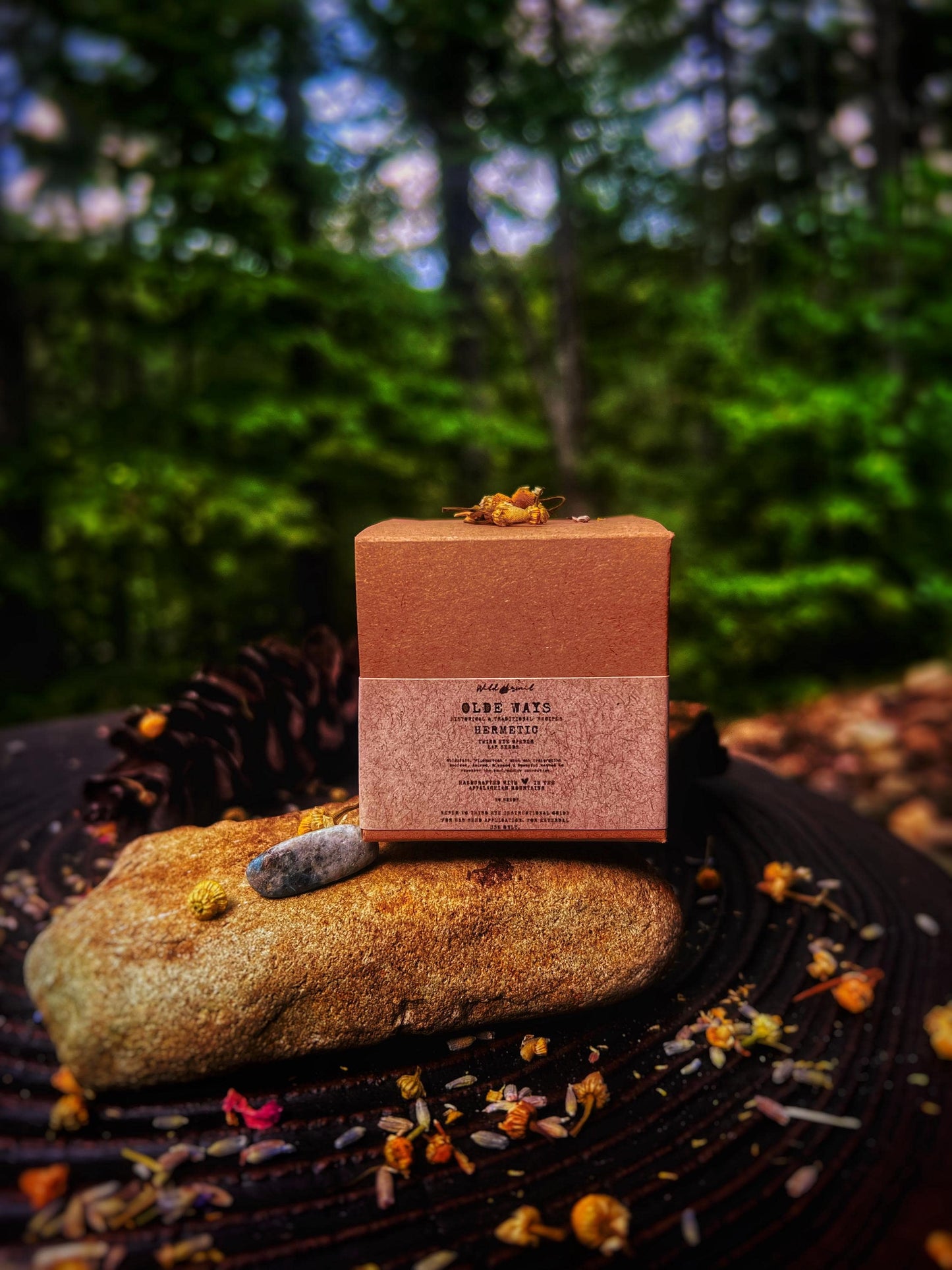 Olde Ways: Natural Ayurvedic Wellness Kit | Traditional Chinese Medicine Ear Seeds | Auricular, for Shen-Men | Third Eye - Pineal Open | 24pk