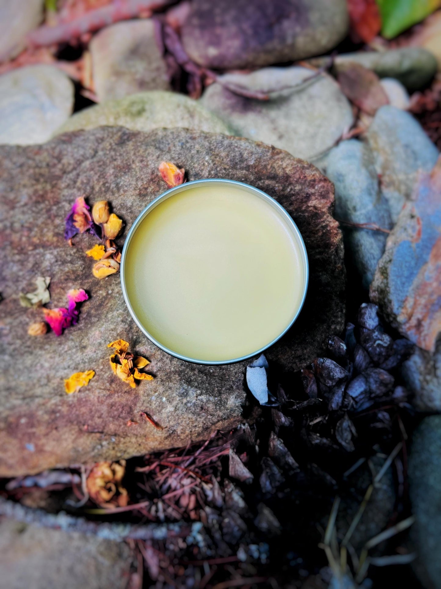 Howlchemy: Natural Nose & Paw Balm for Dogs: Natural Beeswax, Shea Butter