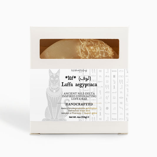 *lūf* (لوف) : Luffa aegyptiaca - Ancient Nile Delta Inspired Exfoliating Luffa Bar