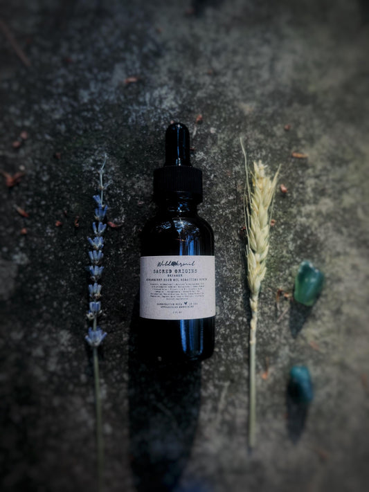 Sacred Origins: Dreamer | Plant Based Strawberry Seed Oil Overnight Serum| Fine Lines, Marks, Noncomedogenic Hydration