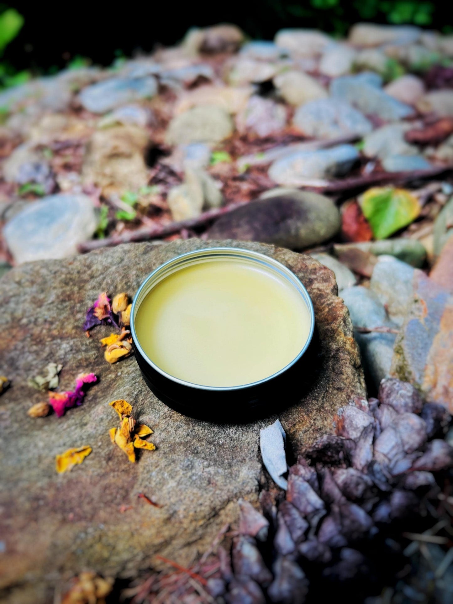 Howlchemy: Natural Nose & Paw Balm for Dogs: Natural Beeswax, Shea Butter