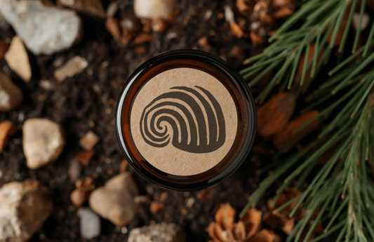 Soulstice Plant-Based Cumin, Kakadu Plum & Black Currant Moisturizing Cream: Antioxidant Rich, Soothe and Protect