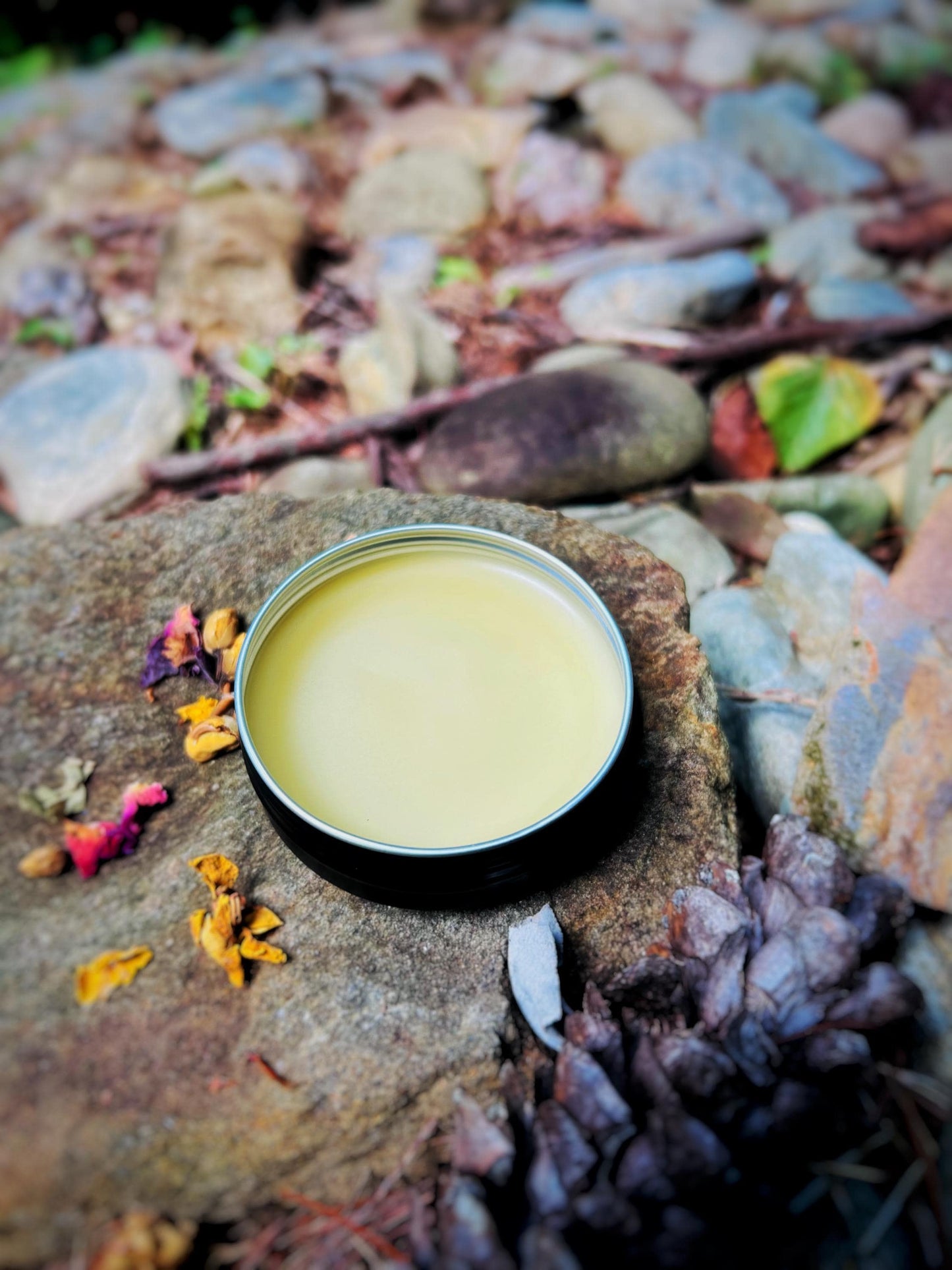 Howlchemy: Natural Nose & Paw Balm for Dogs: Natural Beeswax, Shea Butter