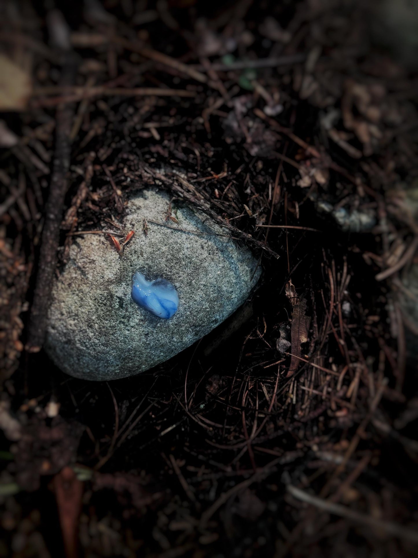 Enchanted | Plant Based Facial Moisturizer Cream: Blue Cornflower, Aloe, and Zinc